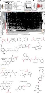 Involved an opioid drug,2 which is the classification that includes the opium derivatives heroin, morphine, oxycodone and synthetic drugs, including the various forms of fentanyl. Mapping Human Microbiome Drug Metabolism By Gut Bacteria And Their Genes Nature
