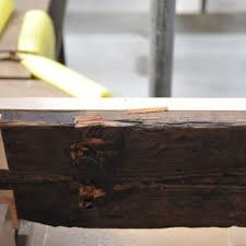 Depending on the desired size of tree and the growing techniques you choose, considerable time and resources in the form of water, fertilizer and containers may be. Pdf Architectural Wooden Preservation In Japan Gokoku Ji Temple And Intangible Skills