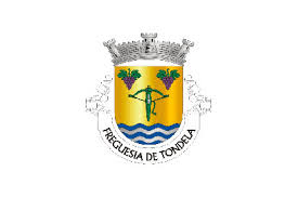 Clube desportivo de tondela is a portuguese professional football club that plays in primeira liga, the top flight of portuguese football. Tondela Freguesia Flag Available To Buy Flagsok Com