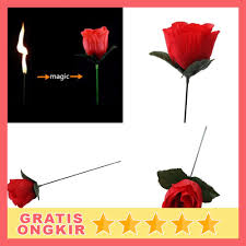 2 gambar sketsa bunga matahari. Firlar Sulap Bunga Mawar Api Torch To Rose Flower Magic Trick 82120 Shopee Indonesia