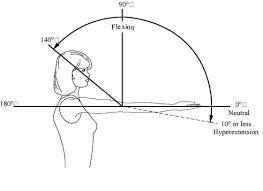 Joint Range Of Motion Kinesiology Scientific Basis Of