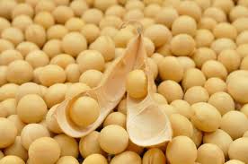 Lecithine De Soja Ou Phosphatidylcholine Focus Sur Cet Additif Alimentaire