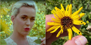 Katy perry shares the meaning behind her daughter daisy dove's name and gets candid about being a new mom. Katy Perry Has Been Teasing Her Daughter S Name For Months Elle Canada