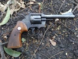Image result for Medium Gray 1978 Colt