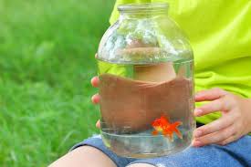 (we did smiles vs the non smiling goldfish crackers because they had to have the exact same flavor.) Try This Game Without The Fish Carnival Savers