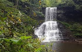 Image result for cascade