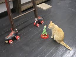 Mauhaus cat cafe & lounge. The Cheshire Grin Cat Cafe Is Opening August 3 On Cherokee Street
