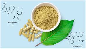 Exploring the Therapeutic Potential of Mitragynine and Corynoxeine: Kratom-Derived  Indole and Oxindole Alkaloids for Pain Management
