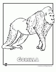 Earth Day Kids Activities Animal Coloring Books Animal Coloring Pages Rainforest Animals