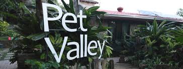 Providing only the best and finest pet memorial services in all of new england, we offer a variety of cremation options in both our facilities for dogs, cats, goats, exotic pets. Pet Valley Park And Crematory Home Facebook
