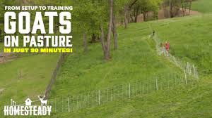Here is an electric fence perimeter protection circuit designed to run on batteries and provide configurable pulses of up to 20kv, to protect a tent perimeter against bears or other animals. How To Setup Electric Fence For Goats And Train Them To It In 30 Min Youtube
