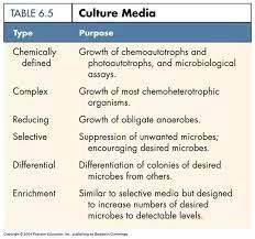 Iii.what is meant by inoculation of media? What Is Culture Media In Microbiology Quora