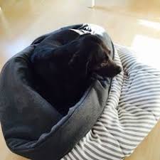 Es Ist Unglaublich Aber Wahr Ich Komme Endlich Mal Wieder Dazu Meinen Blog Mit Etwas Kreativem Zu Futtern Ich Habe Kuschelsack Hund Schlafsack Nahen Hunde