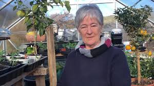 Where it all began… our history began in 1965, when mr hoggins senior bought the coal business from mr arthur frost, who was the local milkman and coal merchant. Using Horse Manure To Heat A Greenhouse Sweet Apricots