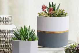 Celengan contoh ide kerajinan dari tanah liat yang ke 15 adalah membuat celengan. 8 Model Pot Bunga Estetik Yang Siap Mempercantik Rumahmu