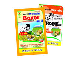 Boxer 15GR