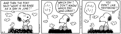 This Strip Was Published On June 5 1999 Snoopy And Woodstock Snoopy And Woodstock Bard Woodstock
