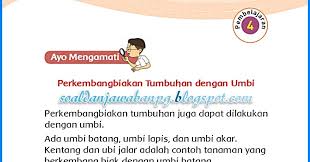Buku guru ppkn kelas xii edisi revisi tahun 2018 Kunci Jawaban Buku Pkn Kelas 12 Halaman 58 Kanal Jabar