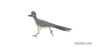 Изучайте релизы roadrunner united на discogs. Roadrunner Illustration Twinkl