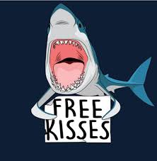 Hurry Up I Miss You Shark Art Sharks Funny Shark