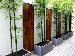 Bambou Deco 40 Idees Pour Un Decor Jardin Avec Du Bambou Bamboo Garden Zen Garden Modern Landscape Design