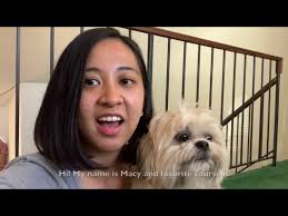 USC Chan Post-Professional MA Students Share Their Favorite Courses