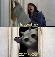 Had You In My Coat Pocket Twenty One Pilot Memes Twenty One Pilots One Pilots