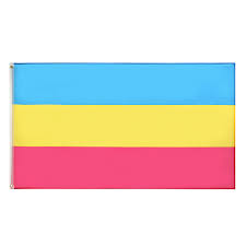 These lgbt flags represent the lgbt movement as a whole with sexual orientations, gender identities, subcultures, and regional purposes. 35x59in Large Lgbt Flags Rainbow Homosexual Bisexual Pansexual Tansgender Banner For Pride Decorations Mardi Gras Lqbtq Pride Parade Rainbow Party Supplies Walmart Canada