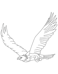 He can also receive the mental images of what the other birds see. Falcon Coloring Pages Best Coloring Pages For Kids