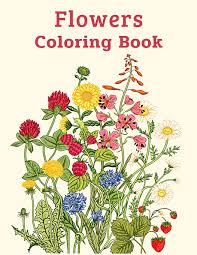 These free, printable halloween coloring pages for kids—plus some online coloring resources—are great for the home and classroom. Flowers Coloring Book An Adult And Older Children Coloring Book With Beautiful Realistic Flowers Vases Bunches And A Variety Of Flower Designs Jimenez Bradley 9798739923967 Amazon Com Books