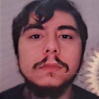 20+ "Luca Peralta" profiles