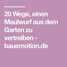 20 Wege Einen Maulwurf Aus Dem Garten Zu Vertreiben Bauemotion De Maulwurf Maulwurf Vertreiben Vertreiben