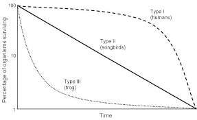 We did not find results for: Survivorship Curve Wikipedia