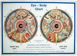 Iridology T H R I V E Therapies