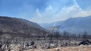 ** τα δρομολόγια από και προς πόρτο. Wagva27h9z Uom