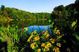 Maybe you would like to learn more about one of these? Tomlinson Run State Park West Virginia State Parks West Virginia State Parks