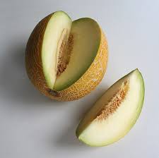 Image result for Cucumis quintanilhae