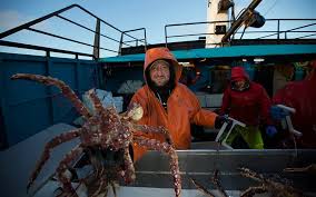 When Deadliest Catch Season 15 Airs, And The Boats It Follows – Reality  Blurred