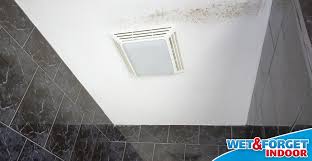 We don't have a bathroom fan, so we started by showering with the bathroom door open. Ask Wet Forget Wet Forget Indoor Stops Bathroom Mold And Mildew In Its Tracks Ask Wet Forget