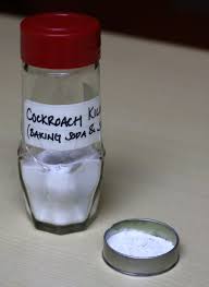 How does baking soda baits kill ants? Baking Soda As A Natural Cockroach Killing Powder Salubrious Exclamation