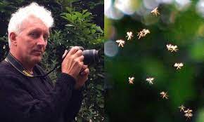 I had a period when i would jog about a mile or so up the track in an attempt to get fit. Man Claims To Have Photographed Real Life Tiny Fairies Flying Daily Mail Online