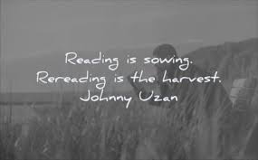 300 Reading Quotes That Will Inspire You To Learn More