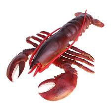 Check spelling or type a new query. Buy Antilog Lobster Toy Simulation Soft Plastic Lobster Model Seafood Restaurant Prop Decoration Kids Children Toy Dark Color 1 Online In Turkey B07wr697qk