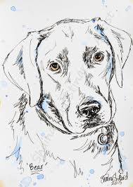 Pin On Colorful Pet Sketches In Bold Color By Shaina Kay Stinard Artist