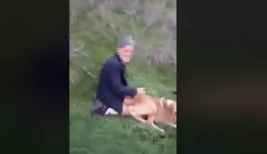 Diken Twitterissa Yasli Bir Adamin Bos Arazide Kopege Tecavuz Ettigi Goruntuler Paylasildi Https T Co Hhninqrvg2
