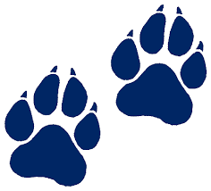 Pin By Mia Bull On Haven Pto Shirt Wolf Paw Cat Paw Print Wild Cats