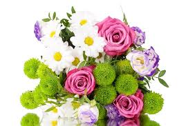 2820 aufrufeblaue blütenblätter, blumen, wassertropfen. Blumenstrauss Von Rosa Rosen Der Blumen Weisse Chrysanthemen Mit Grunen Blattern Auf Weisser Hintergrund Lokalisiertem Abschluss Ob Stockfoto Bild Von Exemplar Frisch 140969204