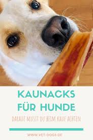 Wusstest Du Dass Viele Hundesnacks In China Produziert Werden Ich Zeige Dir Wie Du Gute Kausnacks Findest Tierarzt Vetd Hunde Hunde Snacks Hundeernahrung