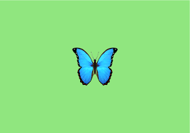 A blue butterfly is often considered as a sign of life. Atw What Does Butterfly Emoji Mean
