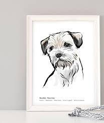 Card measures 6x6 (15cm x 15cm) cards come with kraft envelopes and packed in cello card weight: Border Terrier Print Breed Traits Or Personalised By Scribble Print Studio Notonthehighstreet Com